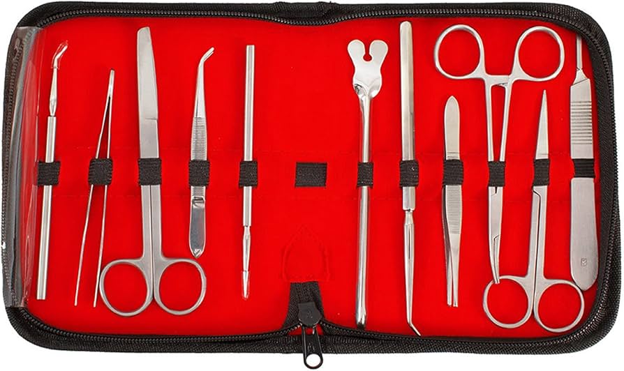 獣医解剖学セット Amazon.co.jp: 生物学研究室解剖キット、22ピース解剖学解剖セット